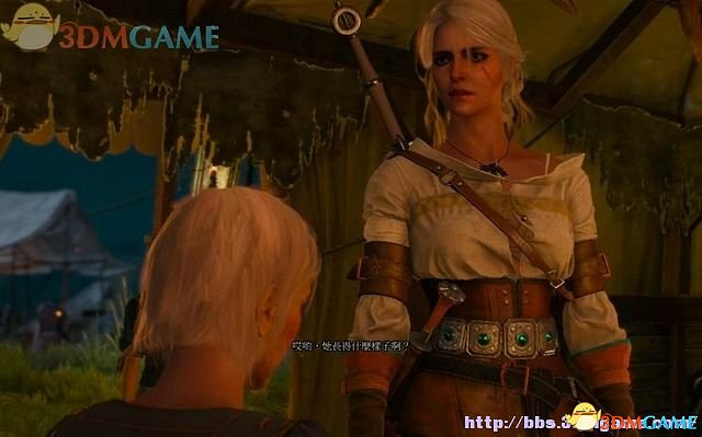 《巫師3：狂獵》次世代攻略百科 全任務全結局全收集全DLC攻略