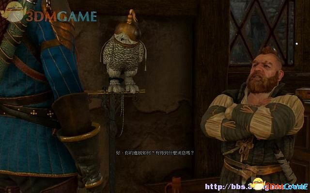 《巫師3：狂獵》次世代攻略百科 全任務全結局全收集全DLC攻略