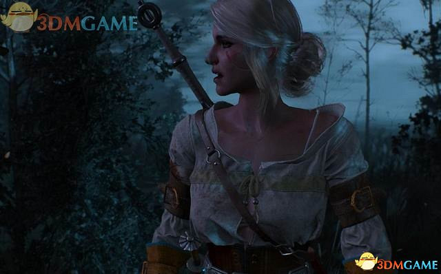 《巫師3：狂獵》次世代攻略百科 全任務全結局全收集全DLC攻略