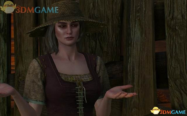 《巫師3：狂獵》次世代攻略百科 全任務全結局全收集全DLC攻略