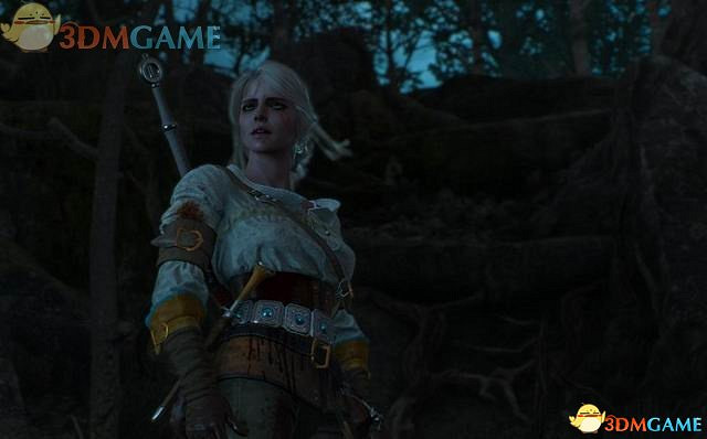 《巫師3：狂獵》次世代攻略百科 全任務全結局全收集全DLC攻略