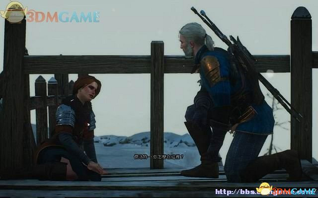 《巫師3：狂獵》次世代攻略百科 全任務全結局全收集全DLC攻略