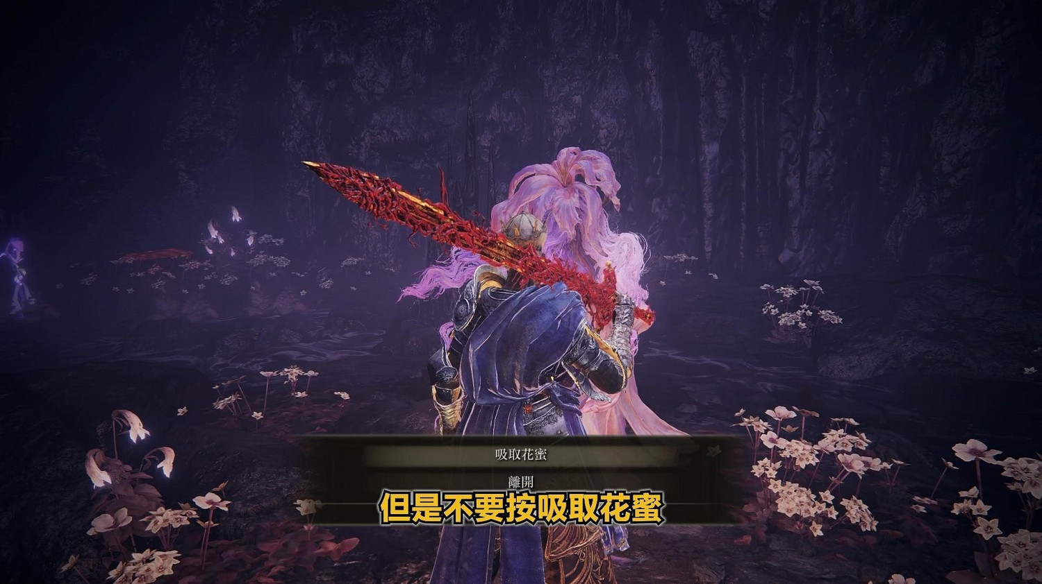 《艾爾登法環》dlc托莉娜與休裡耶支線流程詳解