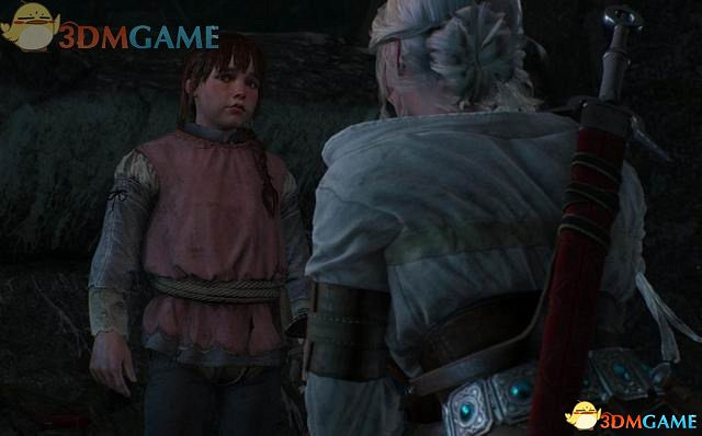 《巫師3：狂獵》次世代攻略百科 全任務全結局全收集全DLC攻略