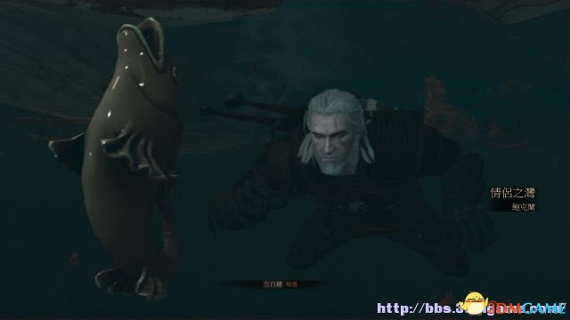 《巫師3：狂獵》次世代攻略百科 全任務全結局全收集全DLC攻略