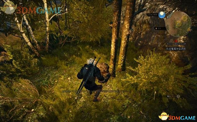 《巫師3：狂獵》次世代攻略百科 全任務全結局全收集全DLC攻略