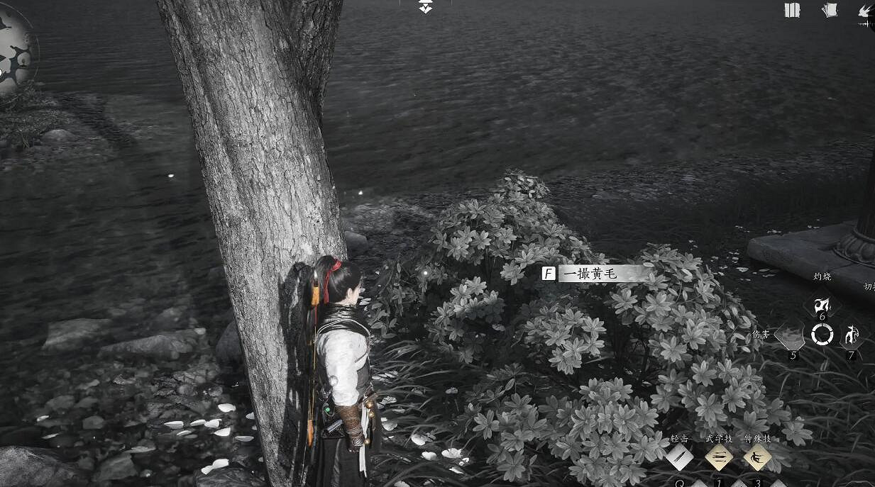 《燕雲十六聲》不羨仙之二失竊的頭壇飲任務攻略