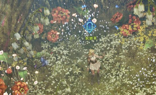 《命運方舟》妮娜芙位置介紹 《命運方舟》妮娜芙位置介紹