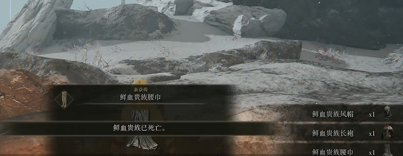 《艾爾登法環》鮮血貴族打法