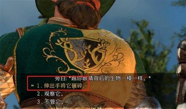《柏德之門3》蟲子選擇說明 《柏德之門3》蟲子選擇說明