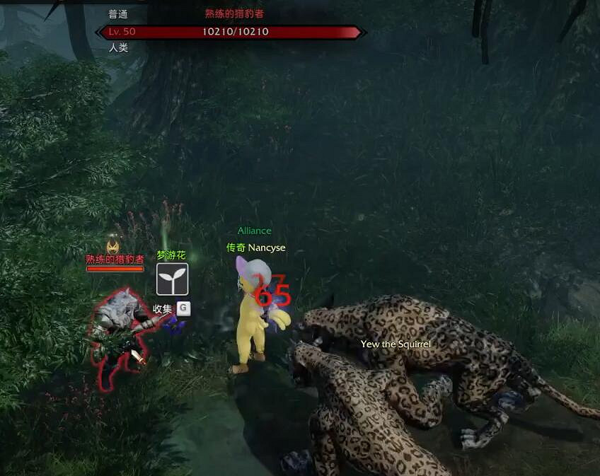 《命運方舟》熟練的斑獸獵手位置一覽 《命運方舟》熟練的斑獸獵手位置一覽