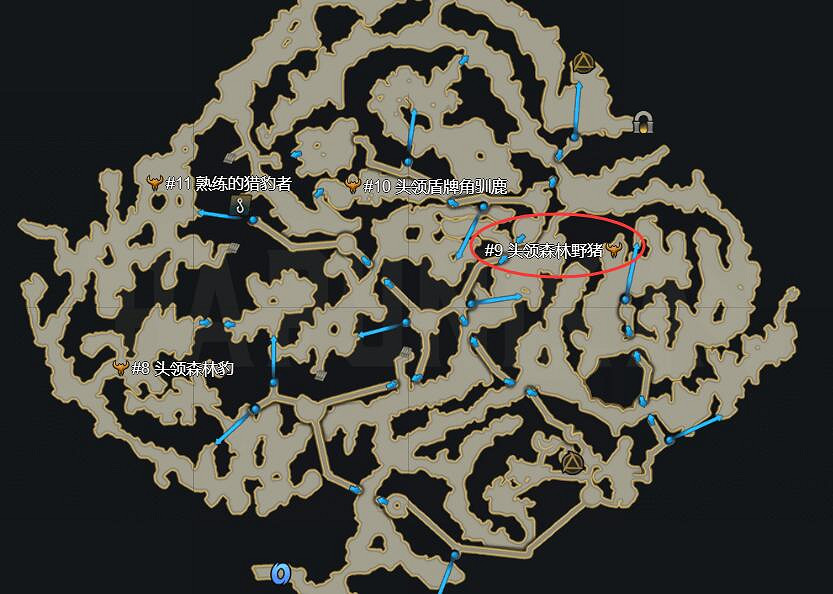 《命運方舟》森林野豬頭領位置一覽 《命運方舟》森林野豬頭領位置一覽