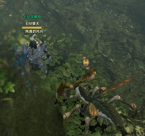 《命運方舟》凶猛的螳螂位置一覽 《命運方舟》凶猛的螳螂位置一覽