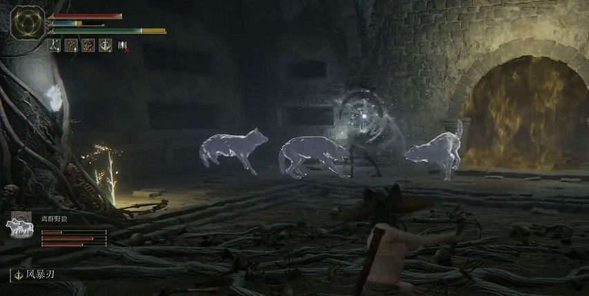 《艾爾登法環》墓地影子打法