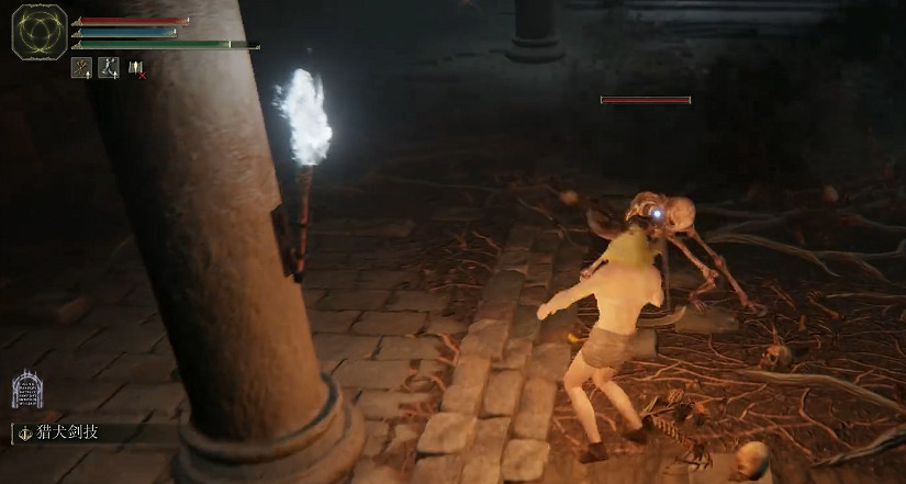 《艾爾登法環》墓地影子打法
