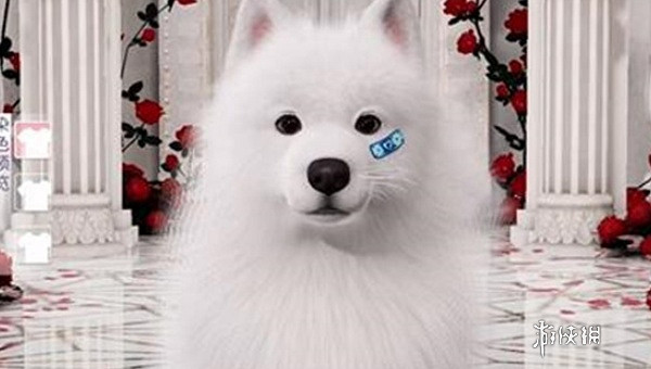 以閃亮之名限時萌寵時裝禮包介紹 以閃亮之名限時萌寵時裝禮包介紹