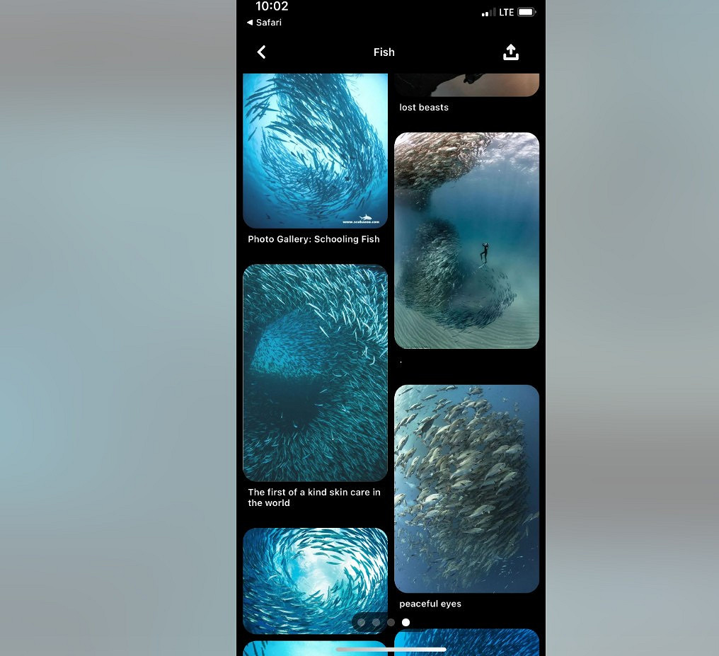 《上古卷軸6》確定在“落錘省”展開新冒險！？