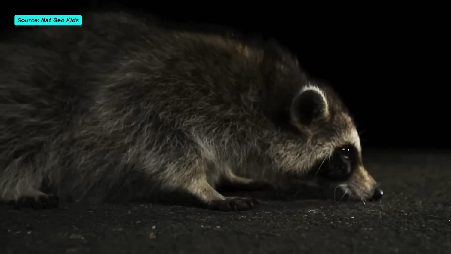 《星際大戰：亡命之徒》新影片 介紹主角同伴尼克斯