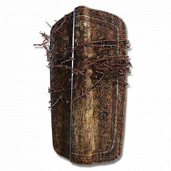 《艾爾登法環》鐵棘艾隆美爾Boss圖鑒