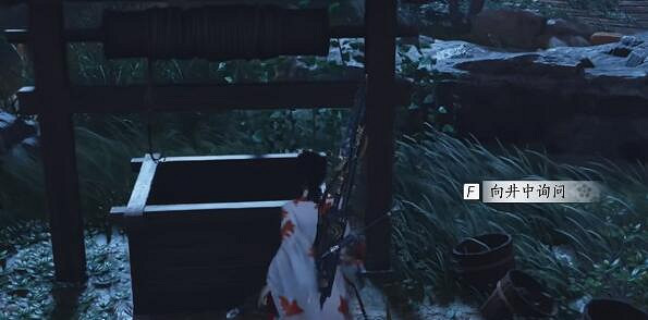 《燕雲十六聲》井中人奇遇攻略