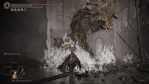 《艾爾登法環》沉水禮拜堂腐爛樹靈Boss圖鑒