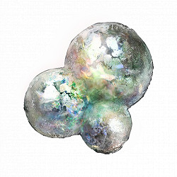 《艾爾登法環》蓋利德龍墓腐敗化身Boss圖鑒