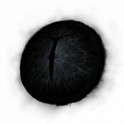 《艾爾登法環》沉水禮拜堂腐爛樹靈Boss圖鑒