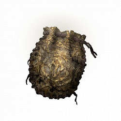 《艾爾登法環》初始之王葛孚雷幻影Boss圖鑒