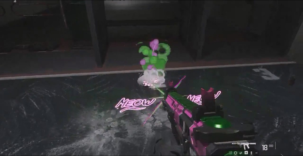 《COD20》新貓槍皮膚引不滿 網友：外掛都不先管管！