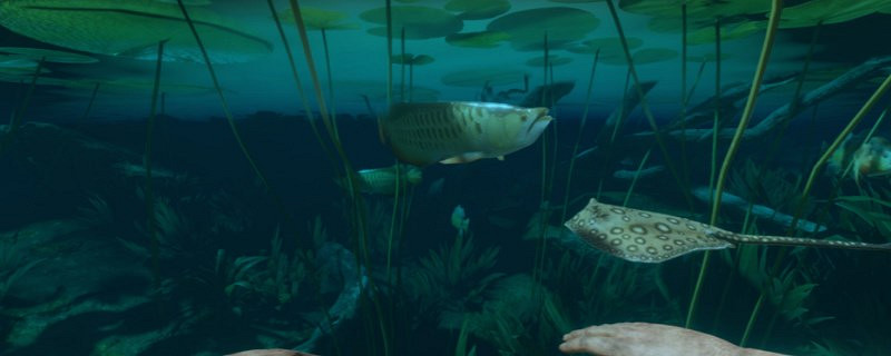 《綠色地獄》小罐頭有什麽用 《綠色地獄》小罐頭有什麽用