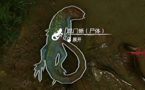 《綠色地獄》凱門蜥有什麽用