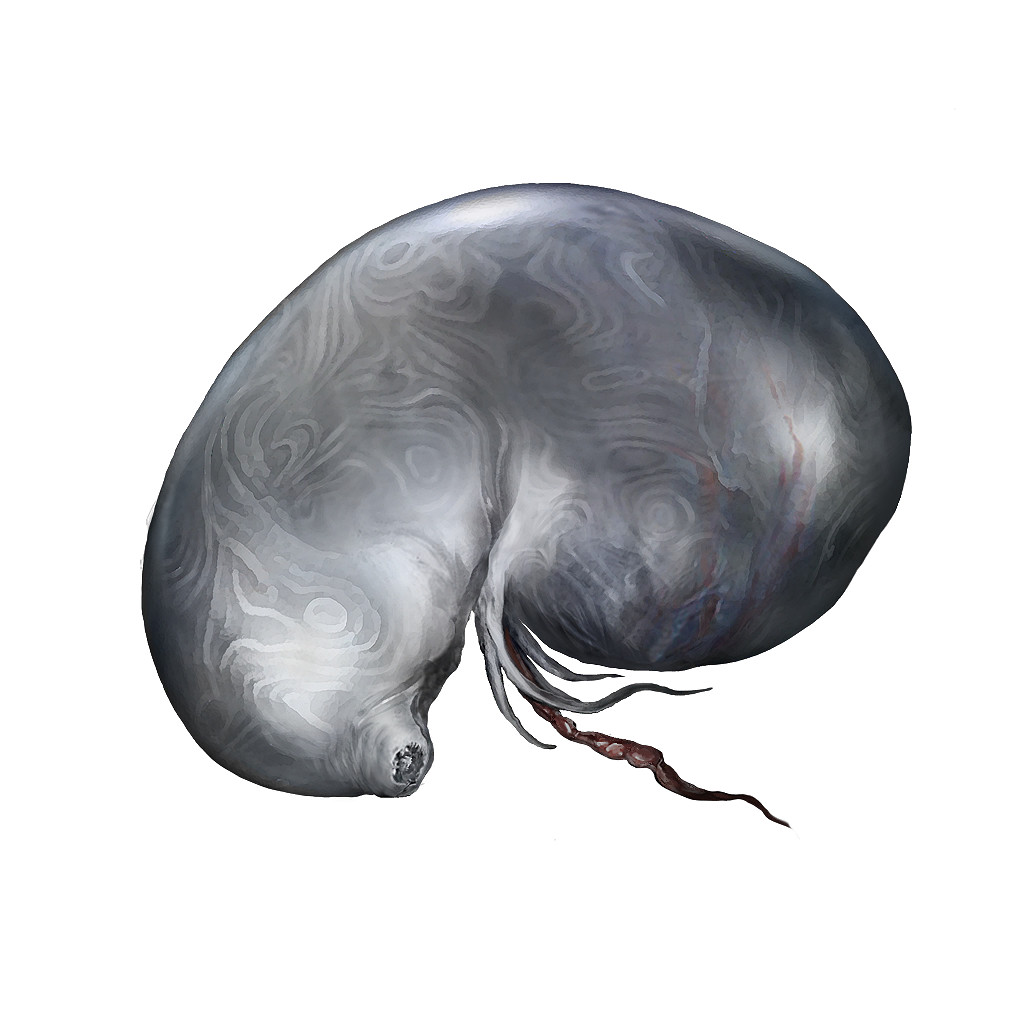 《艾爾登法環》仿生淚滴Boss圖鑒