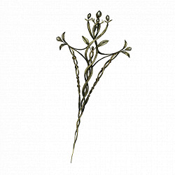 《艾爾登法環》貫刺交錯樹護符獲得方法介紹