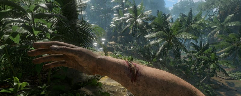 《綠色地獄》羽毛有什麽用