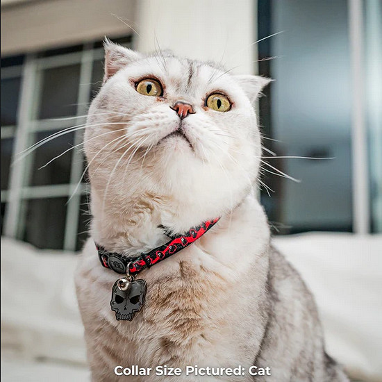 Pawsonify推出《女神異聞錄5皇家版》連動寵物用品