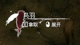 《綠色地獄》羽毛有什麽用