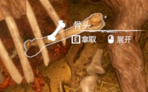 《綠色地獄》骨頭是什麽樣子 《綠色地獄》骨頭是什麽樣子