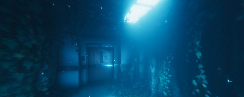 《綠色地獄》一包堅果有什麽用 《綠色地獄》一包堅果有什麽用