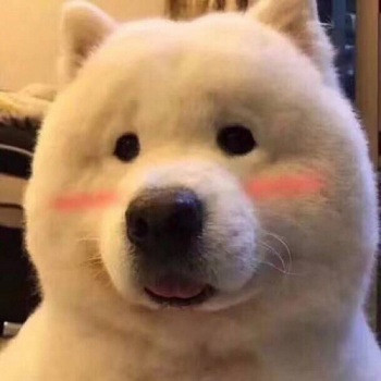 “童貞畢業”的奇怪詞條,是怎麽從遊戲社區火遍外網的？