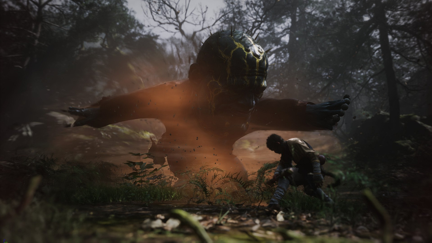 外媒:《黑神話》是繼《隻狼》之後最好的魂類遊戲! 外媒:《黑神話》是繼《隻狼》之後最好的魂類遊戲!