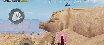 和平精英網紅豬石頭位置 和平精英網紅豬石頭位置