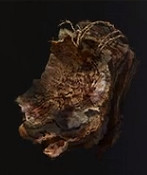 《艾爾登法環》埃貢的製作筆記2位置介紹 《艾爾登法環》埃貢的製作筆記2位置介紹