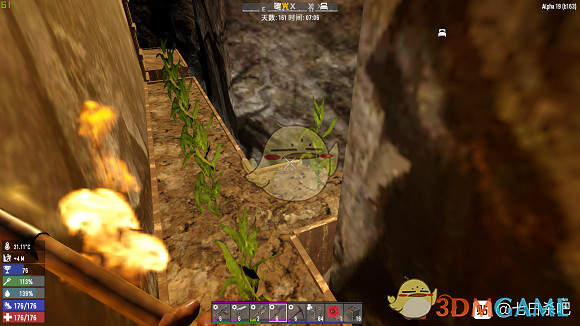 《七日殺》A19關於光照對種植的影響