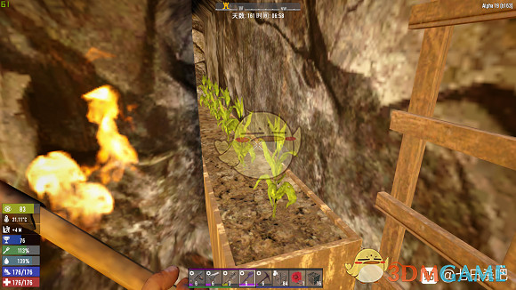 《七日殺》A19關於光照對種植的影響