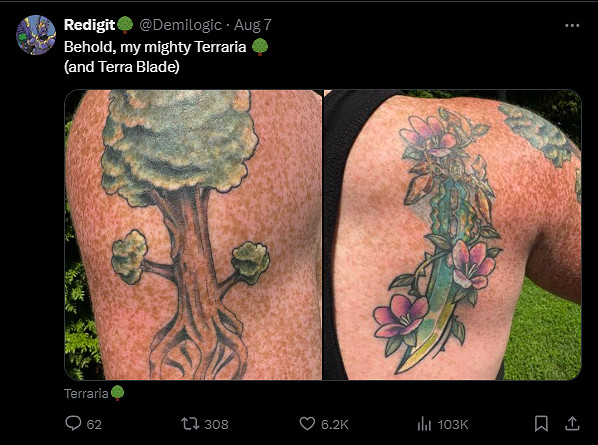 《泰拉瑞亞》作者曬出作品紋身:做自己的狂熱粉絲! 《泰拉瑞亞》作者曬出作品紋身:做自己的狂熱粉絲!