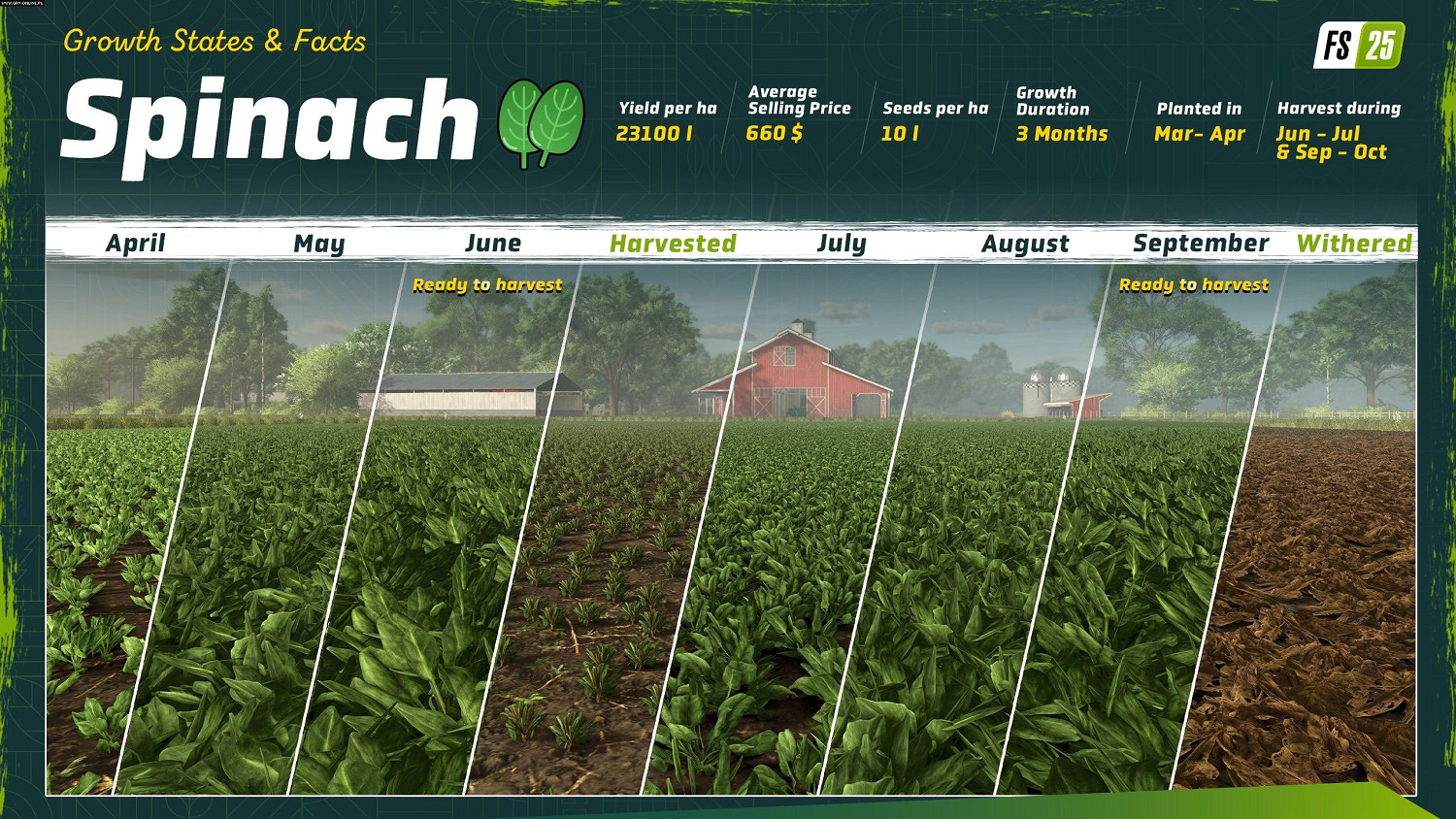 《模擬農場25》新情報公布 加入新種植選項“菠菜”