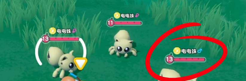 蛋仔派對彩色艾比和普通艾比區別介紹 蛋仔派對彩色艾比和普通艾比區別介紹