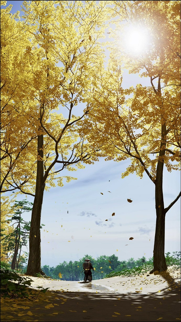 《對馬戰鬼》攝影截圖欣賞：風景絕美 意境感拉滿