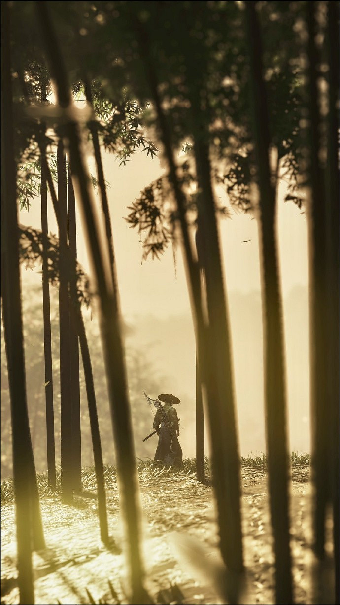 《對馬戰鬼》攝影截圖欣賞：風景絕美 意境感拉滿