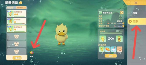 摩爾莊園靈獸喂養方法